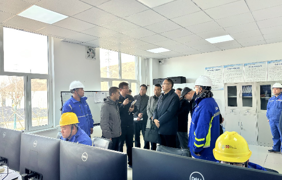 青海省生態(tài)環(huán)境廳黨組書記、廳長湯宛峰調(diào)研麥王項目